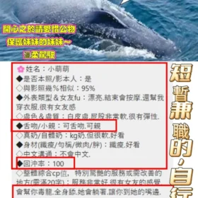 小萌萌客評12