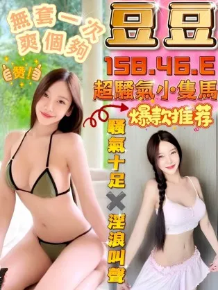 沙鹿定點茶-豆豆