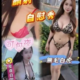 馬公定點茶-七七