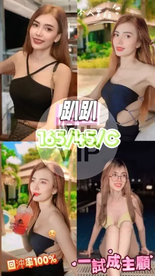 中西定點茶-趴趴
