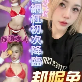 中西定點茶-邦妮兔