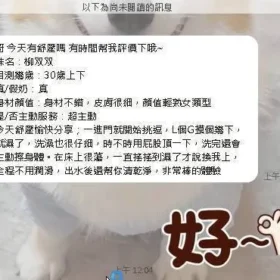 嘉義定點茶外送茶-柳双双2