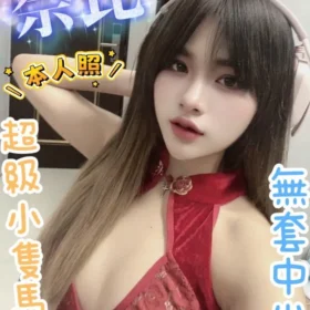 彰化定點茶-奈比1
