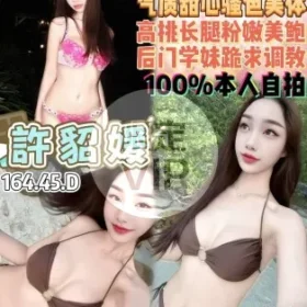 桃園定點茶-許貂媛