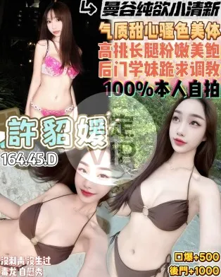 桃園定點茶-許貂媛