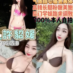 桃園定點茶-許貂媛1