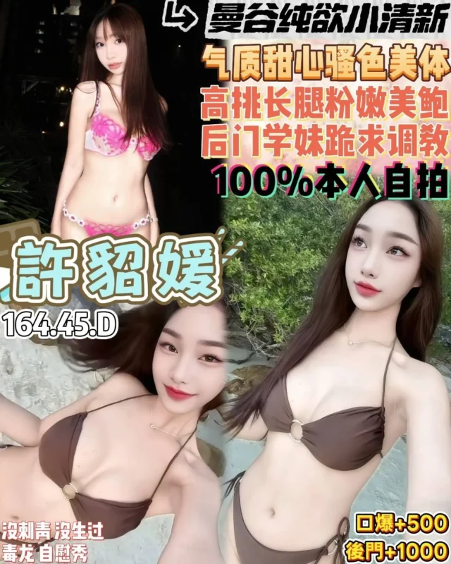 桃園定點茶-許貂媛1