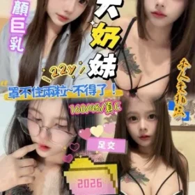 金山園區定點茶-大奶妹