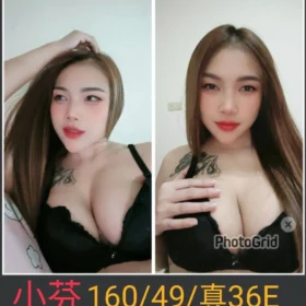 南投定點茶-小芬