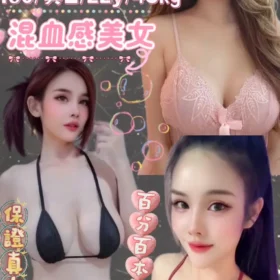 台北定點茶-雅柏