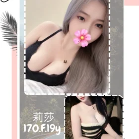 台北定點茶外送茶-莉莎