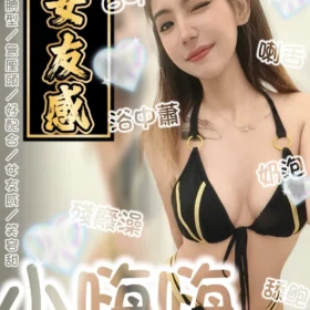 台南定點茶外送茶-小嗨嗨