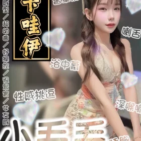 台南定點茶外送茶-小毛毛