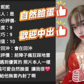 台中定點茶外送茶-妮妮1