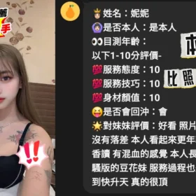 台中定點茶外送茶-妮妮2
