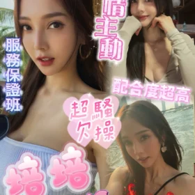 屏東定點茶外送茶-培培