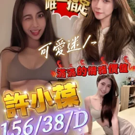 屏東定點茶外送茶-許小葆
