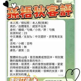 孫梧狄客評