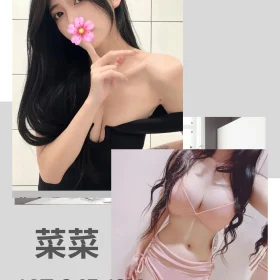 台北外送茶-菜菜