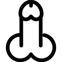 入珠